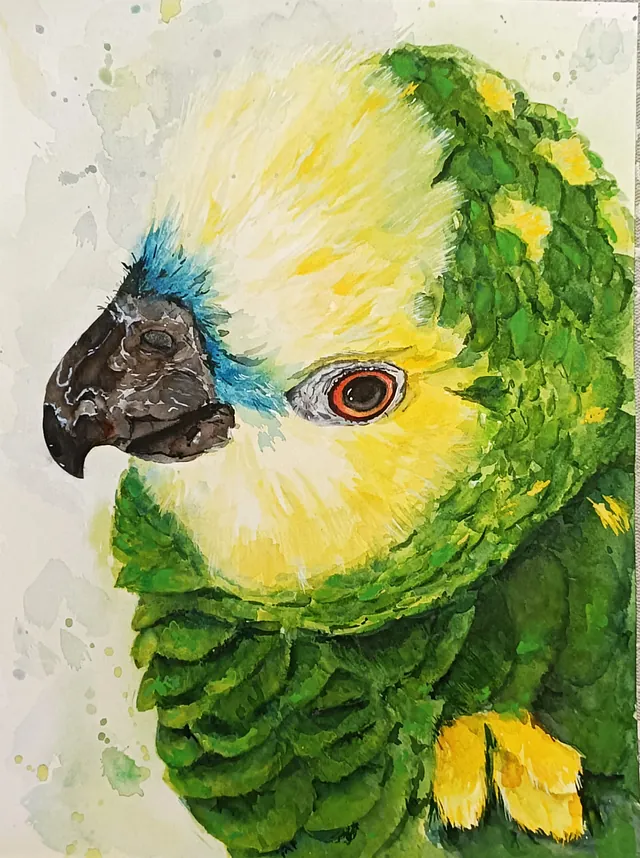 Acuarali Arte trabajos realizados