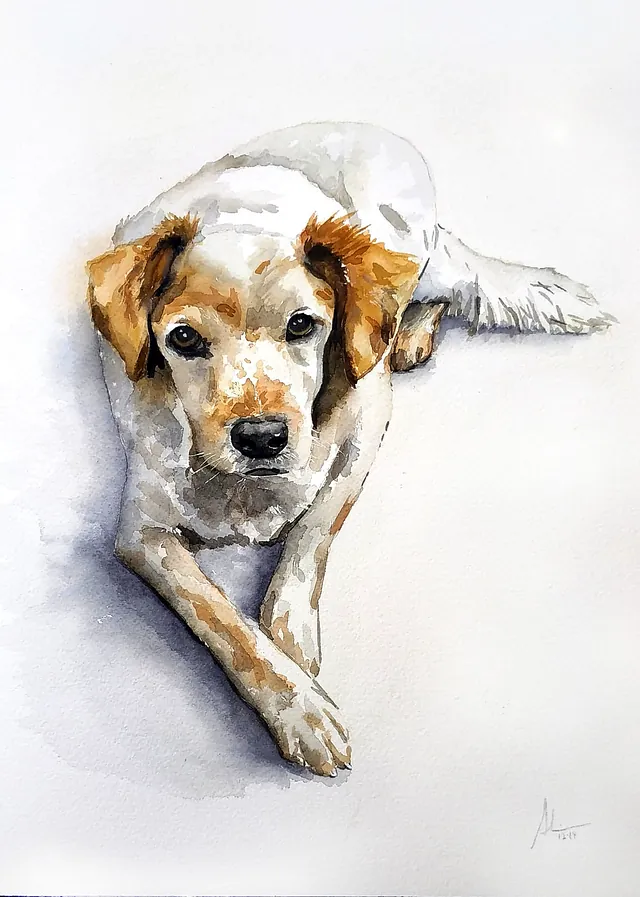 Acuarali Arte trabajos realizados