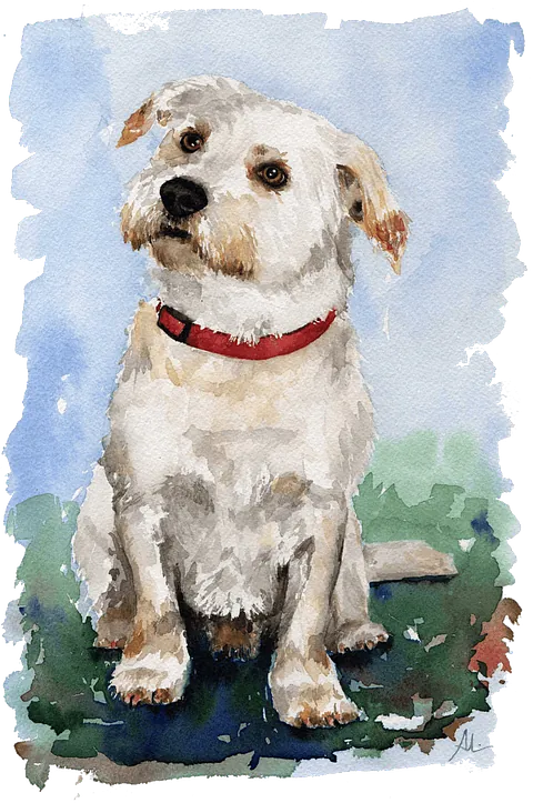 Acuarali Arte dibujo de mascota